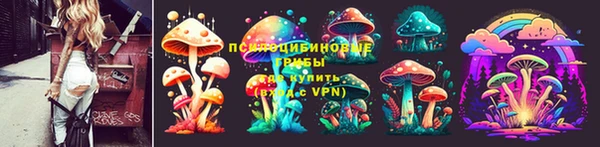 МДПВ Аркадак
