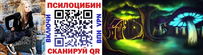 Галлюциногенные грибы Psilocybe  Купить закладки  Лысково 